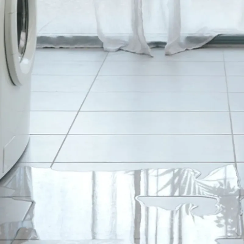 Appliance Leak Cleanup in Norwood, NC