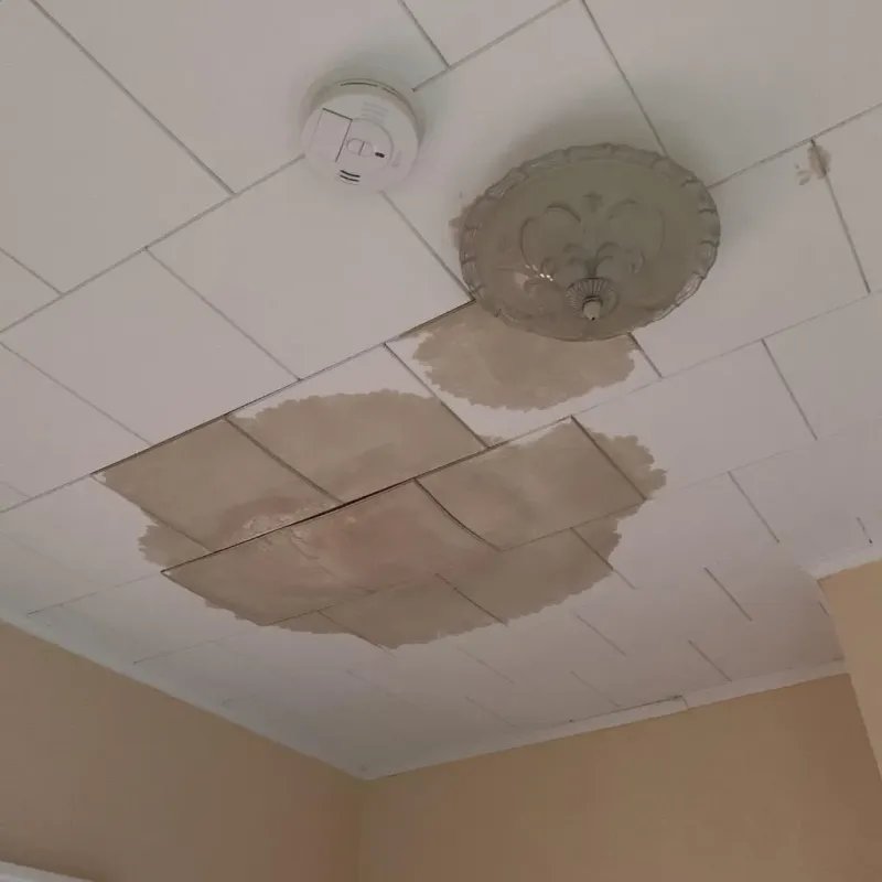 Ceiling Water Damage Repair in Norwood, NC
