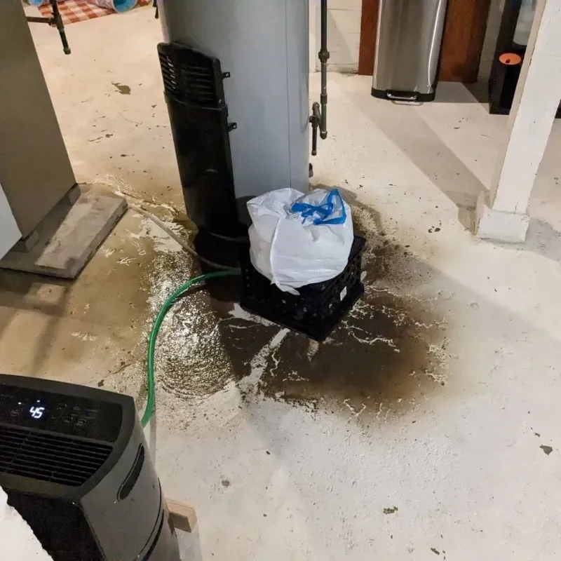Sewage Backup Cleanup Service in Norwood, NC